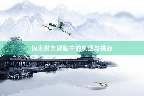 探索财务课题中的机遇与挑战